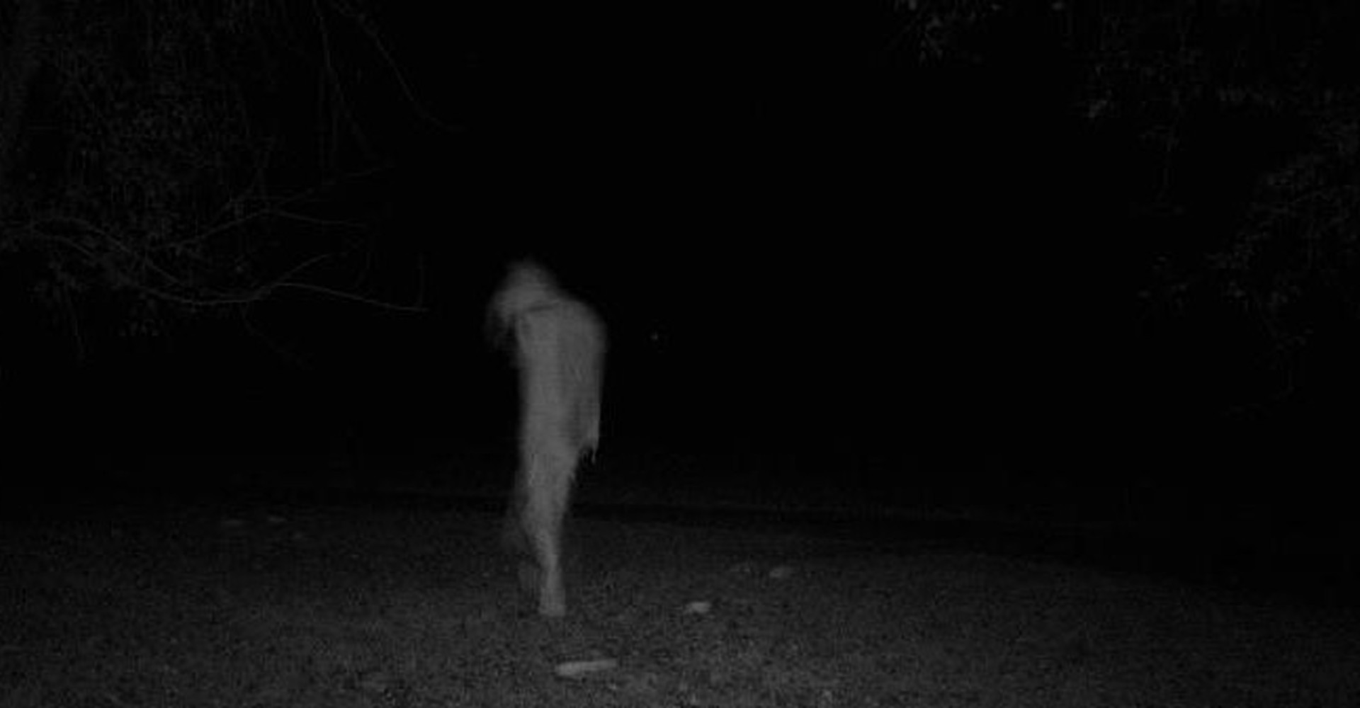 Страшно быть видимым. Жуткие кадры с охотничьих камер ночного видения. Страшный призрак в темноте.