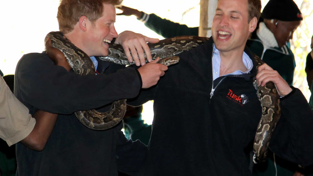 Il legame indissolubile e fraterno dei Principi William e Harry