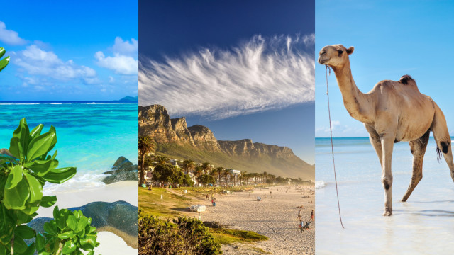 Ontdek de prachtigste stranden van Afrika