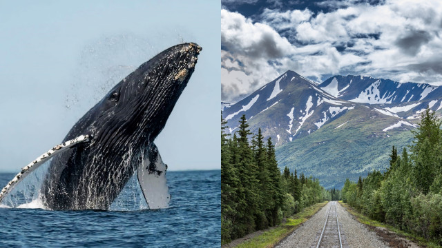 The essential guide to visiting Alaska