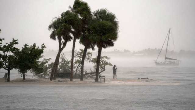 How hurricanes disrupt wildlife