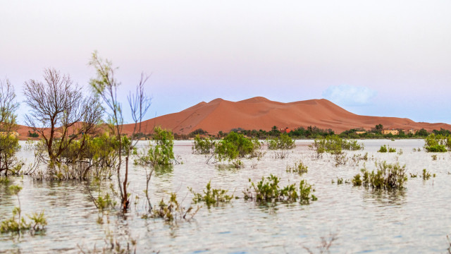 Por que o deserto inundou? A explicação para a forte tempestade no Saara