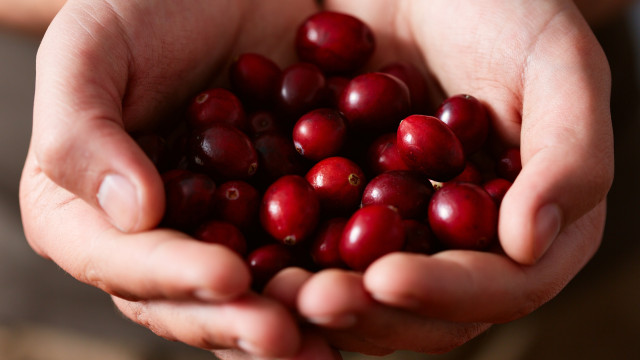 Why are cranberries so good for you?