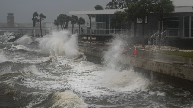 How hurricanes disrupt wildlife