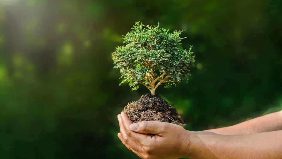 Petits gestes du quotidien pour un monde plus vert