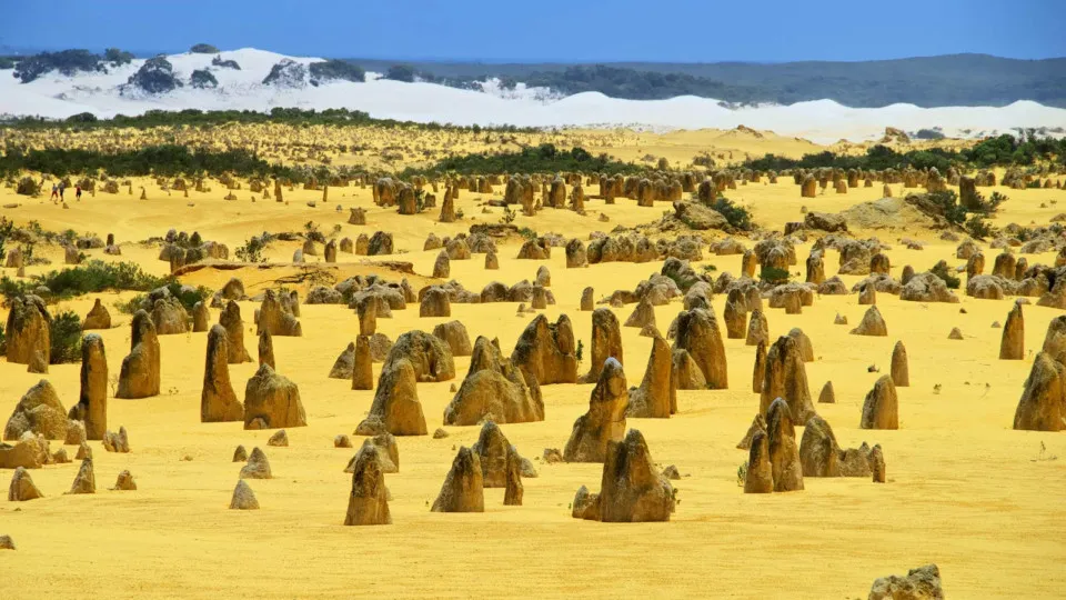Erkunden Sie die Pinnacles, eine der bizarrsten Landschaften der Welt