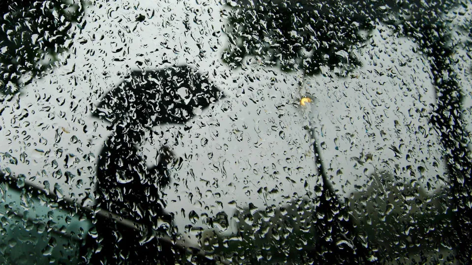 雨の日：世界中の文化と宗教における雨の影響