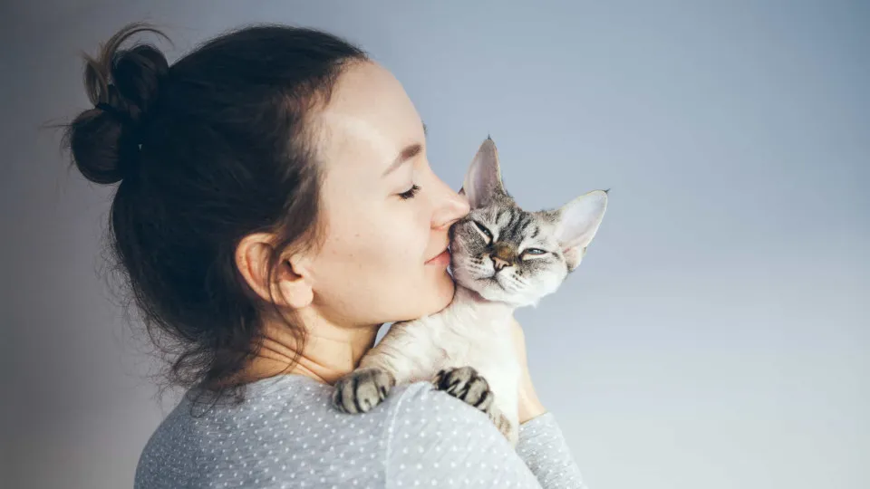The best cat for you, based on your zodiac sign
