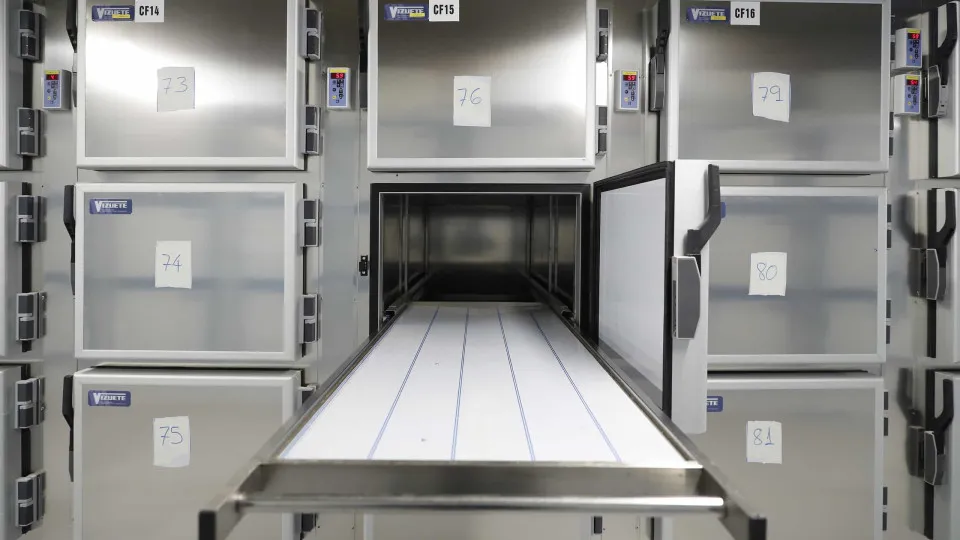 Bébert, le chanteur emblématique du groupe des années 1980 Les Forbans, est décédé