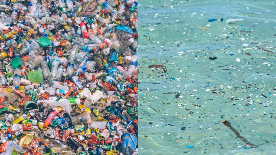 Microplastiques : un enfer invisible
