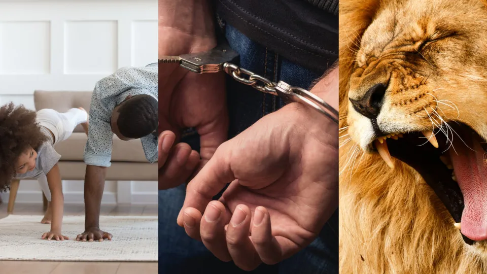 Absurd crime headlines from each US state