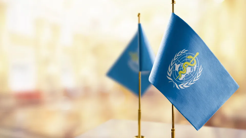 L’OMS : Histoire d’une organisation au cœur de la santé mondiale