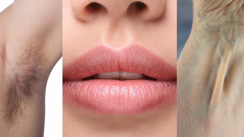 Ces vestiges de l'évolution que nous portons sur notre corps