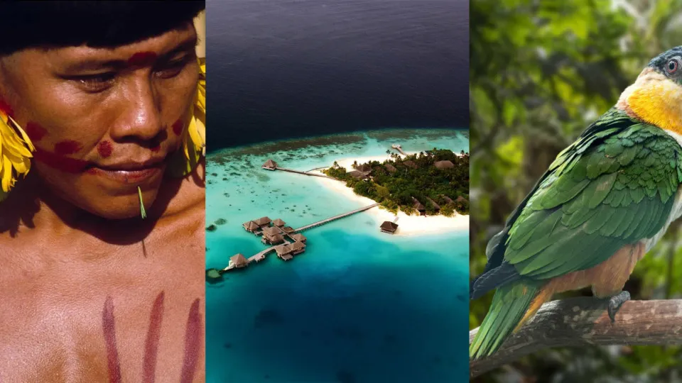 Journey to the center of the Earth: life on the equator