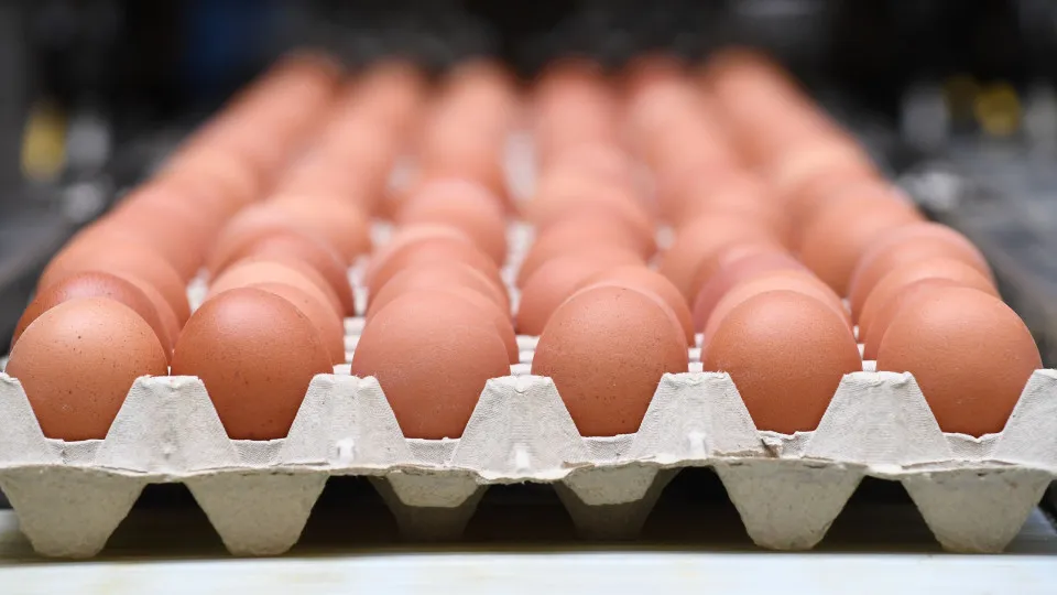 Listeria infection: what to know, and how to prevent it