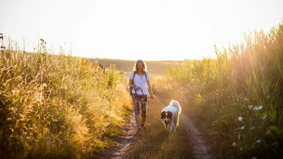 30 simple wellness rituals that will help improve your life