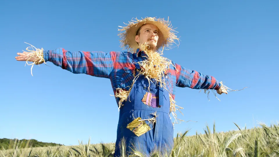 Unusual jobs you probably didn't know existed