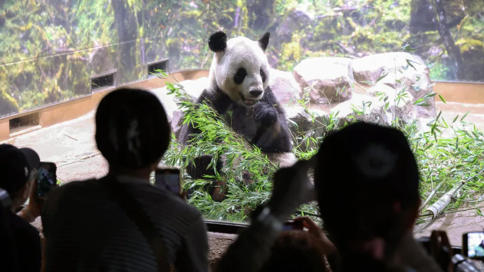 Secrets zoos don't want you to know about
