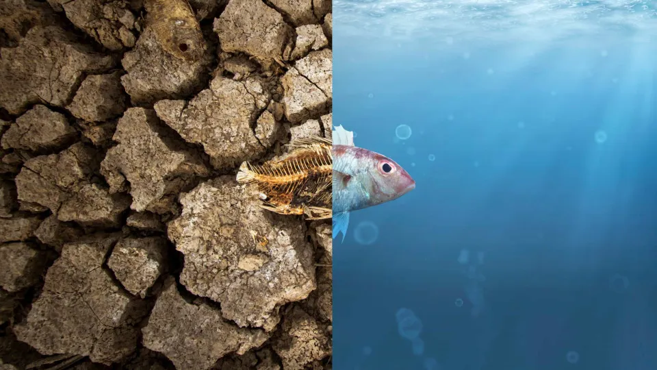 Animais que voltaram da extinção depois de serem considerados perdidos
