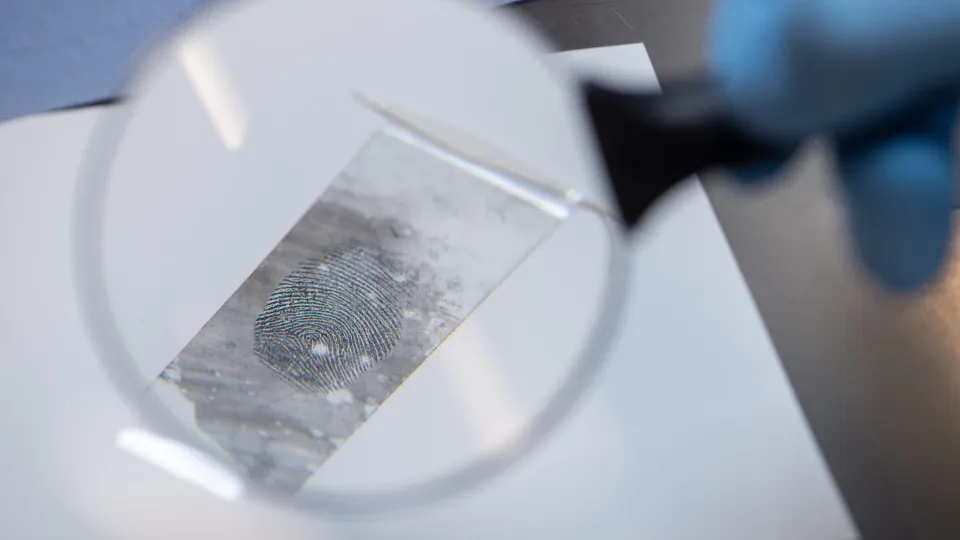 Surprising facts about fingerprints, and why we even have them