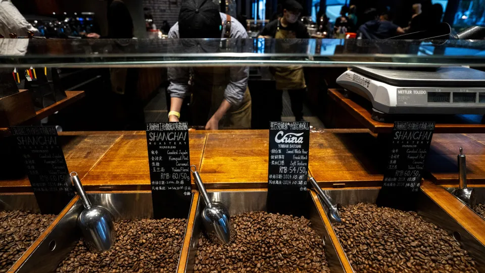 Kaffeebrühen wie die Profis: So geht's!