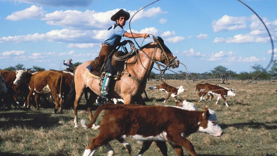Riding with the gauchos, South America's skilled horsemen