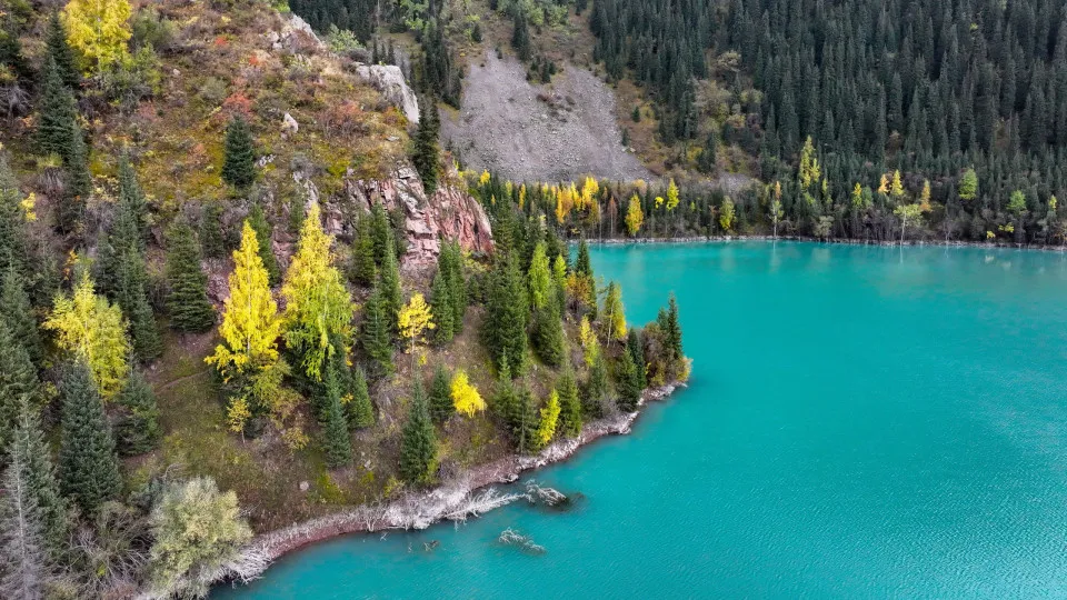 Lake Kaindy: secrets of the sunken forest