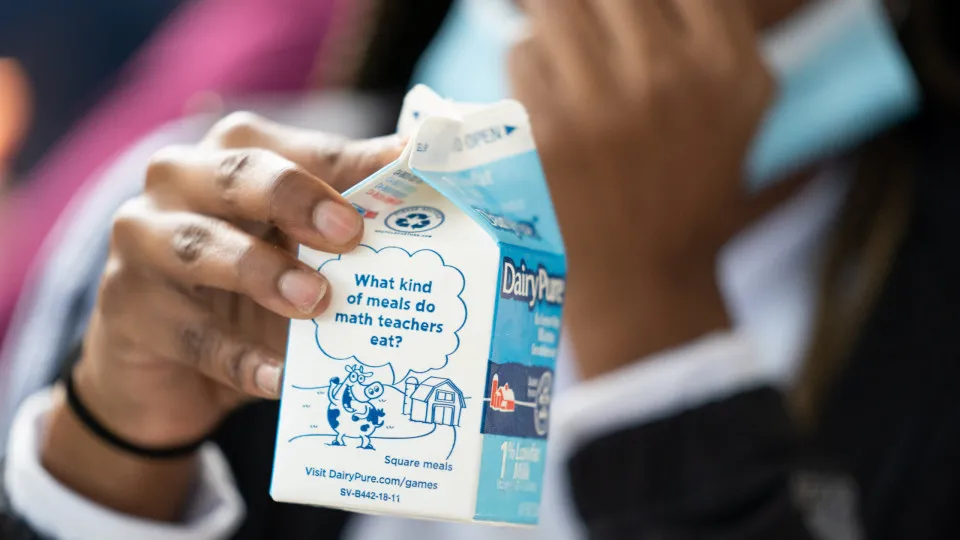 Milch unter der Lupe: Mythen, Wahrheiten und interessante Fakten