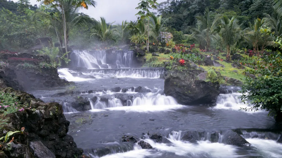Pura vida: Costa Rica te espera