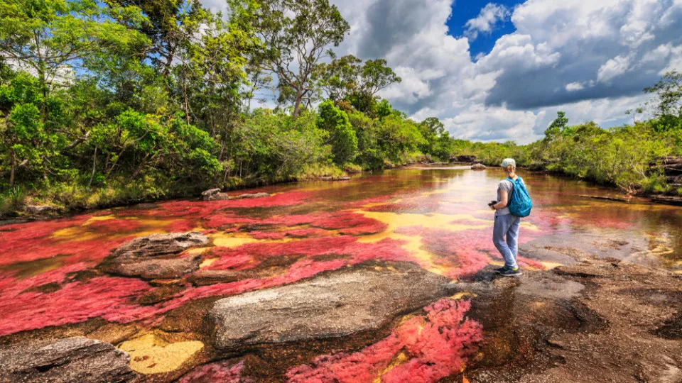 Caño Cristales, einer der schönsten Flüsse der Welt