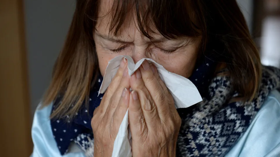 Les arbres mâles sont-ils les seuls responsables de vos allergies ?