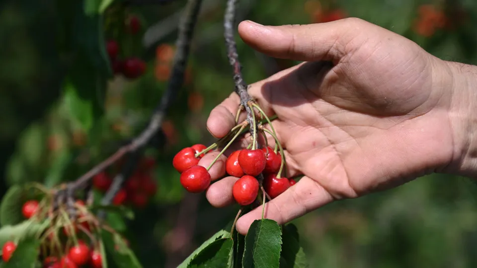 These foods can help you look younger
