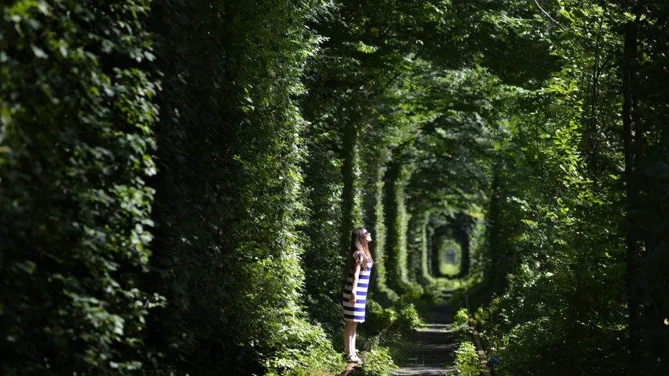 Diese verlassenen Orte wurden von Mutter Natur zurückerobert
