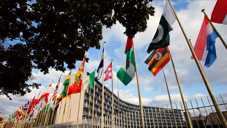 The US gained an official language in 2025, so which countries are the most multilingual now?