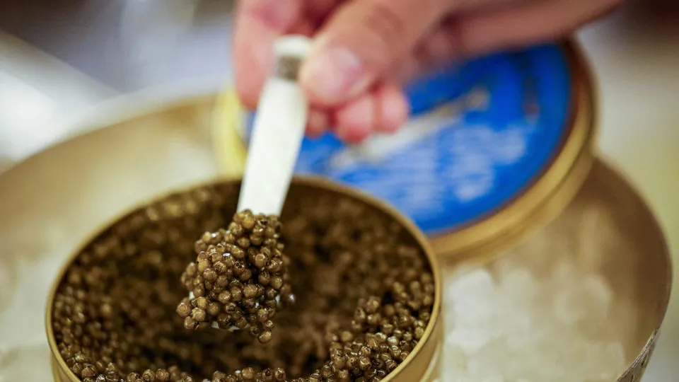 Is caviar really that good, and why is it so expensive?