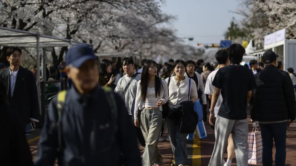 どの国が変化に適応する能力が最も高い？