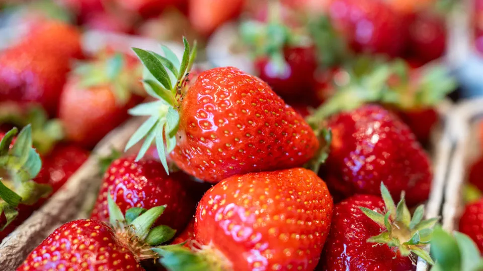 Foods that contain almost no calories