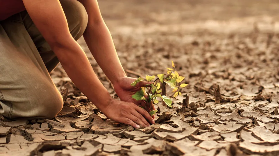 Bizarre climate fixes that could actually work