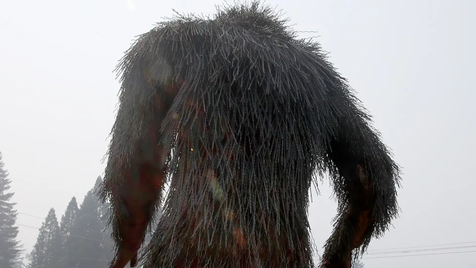 Mythical creatures from around the world