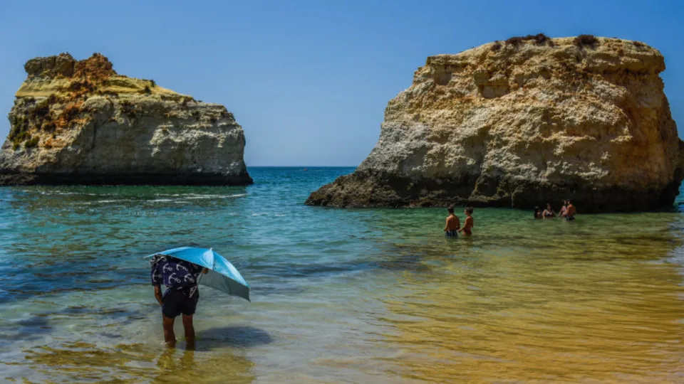 Portugal's ocean temperature reaches record high