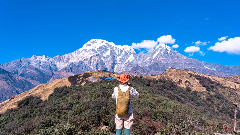 De grootste dingen die ooit zijn gestolen