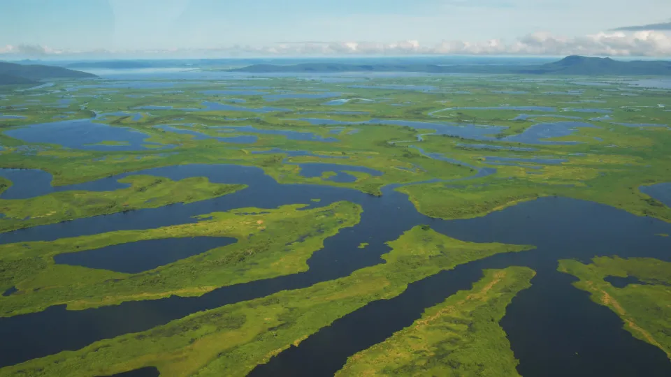 The most amazing wetlands in the world
