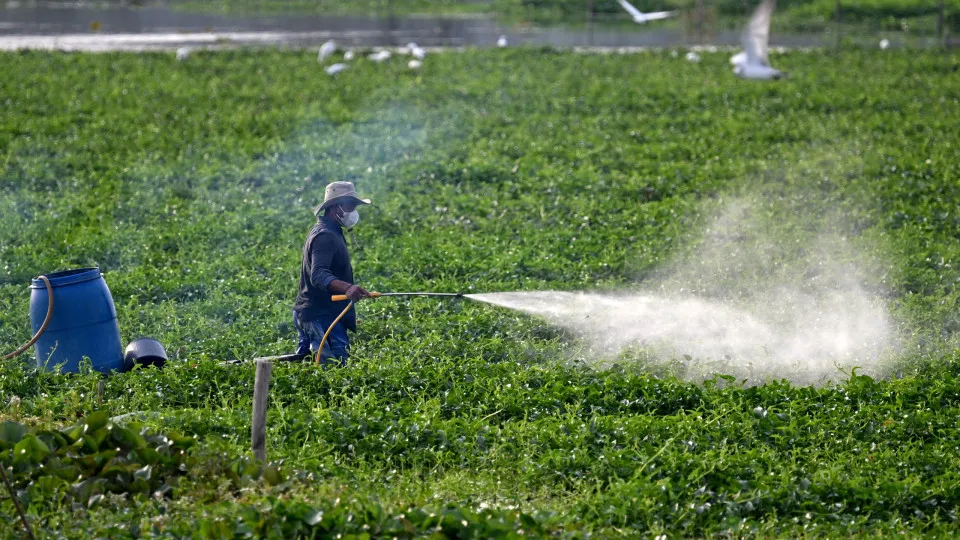 Places that use the most pesticides