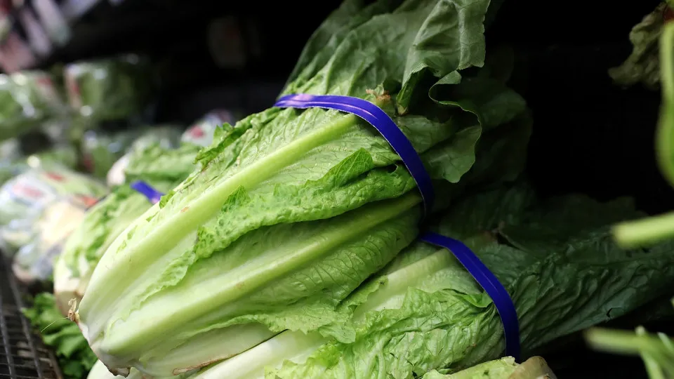 Contaminated foods that have killed people