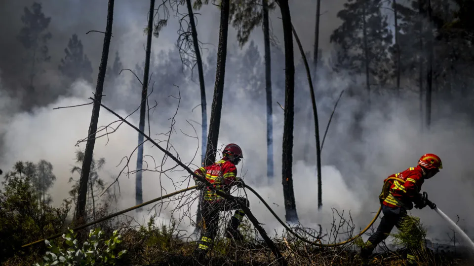 Portugal battles 10 active wildfires as crisis escalates in the North