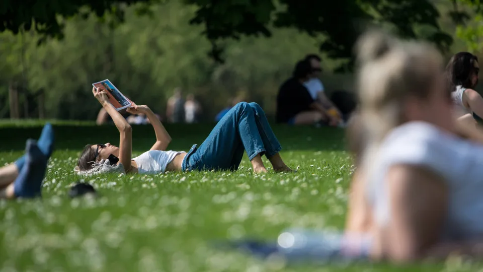 The incredible benefits of reading, and how to become a better reader