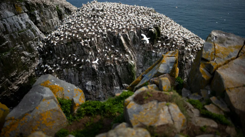 These are the windiest places on the planet