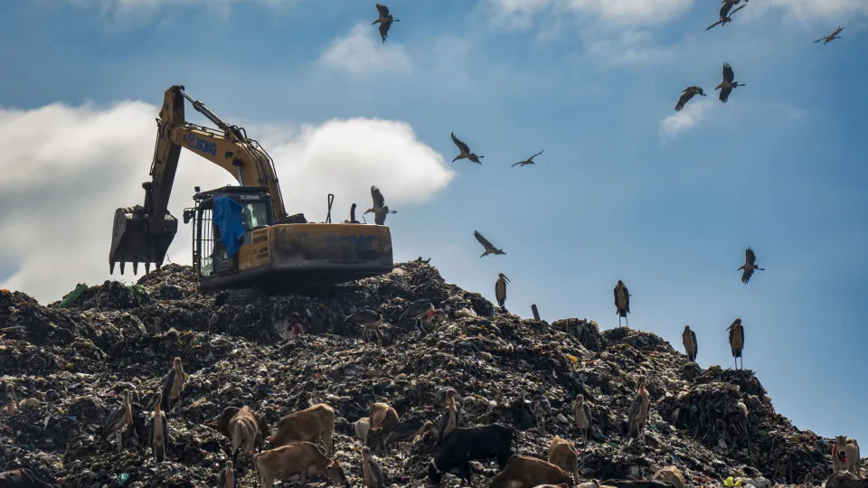 Waste colonialism: countries used as dumping grounds