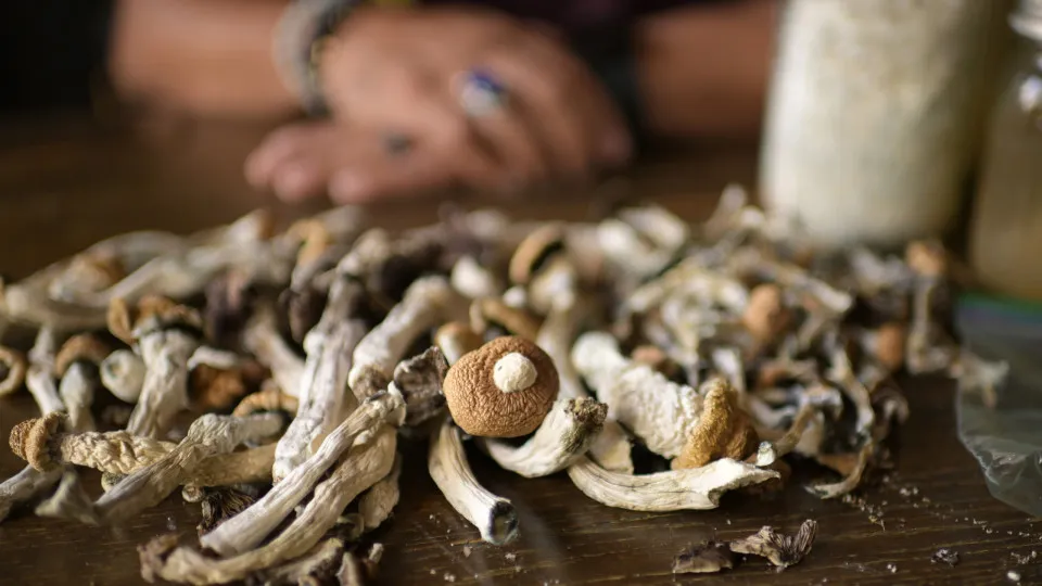 Magic mushrooms: from stigma to breakthrough mental health treatment