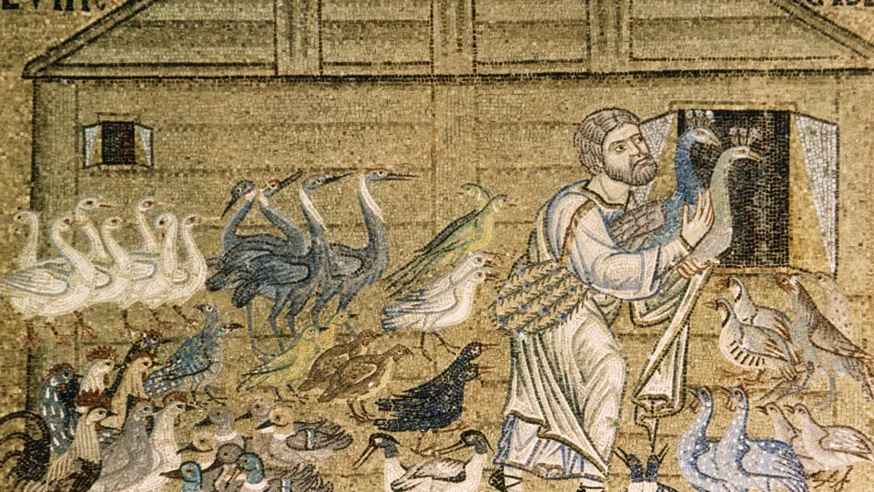 How much do we know about Noah from the Bible?